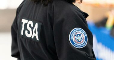 TSA's union distractions thwart air safety â so Trump is stepping in